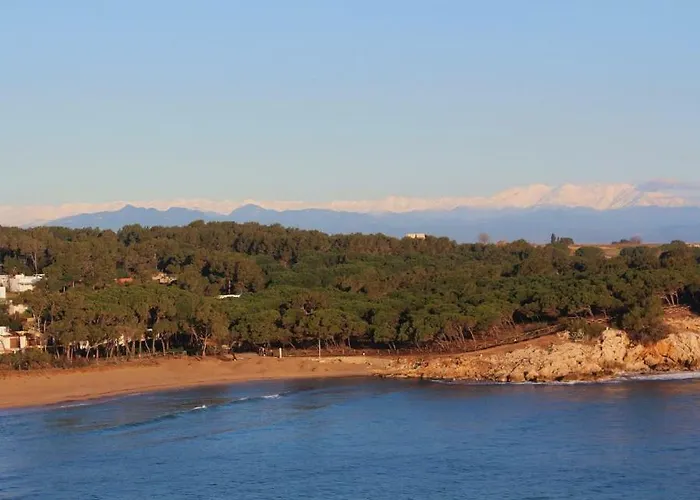 El Niuet