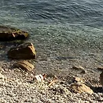 El Niuet 公寓 L' Escala