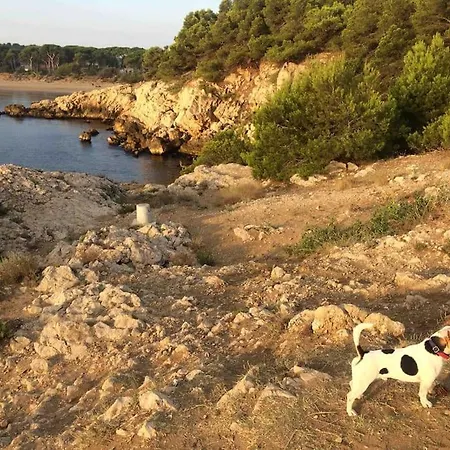 El Niuet Lägenhet