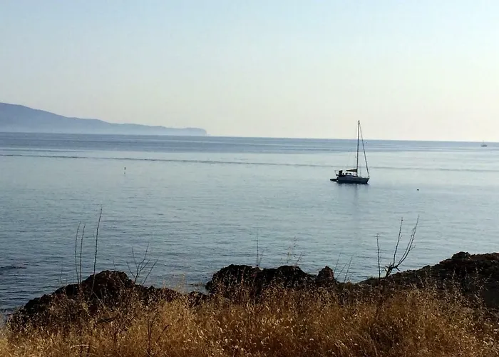 El Niuet L' Escala